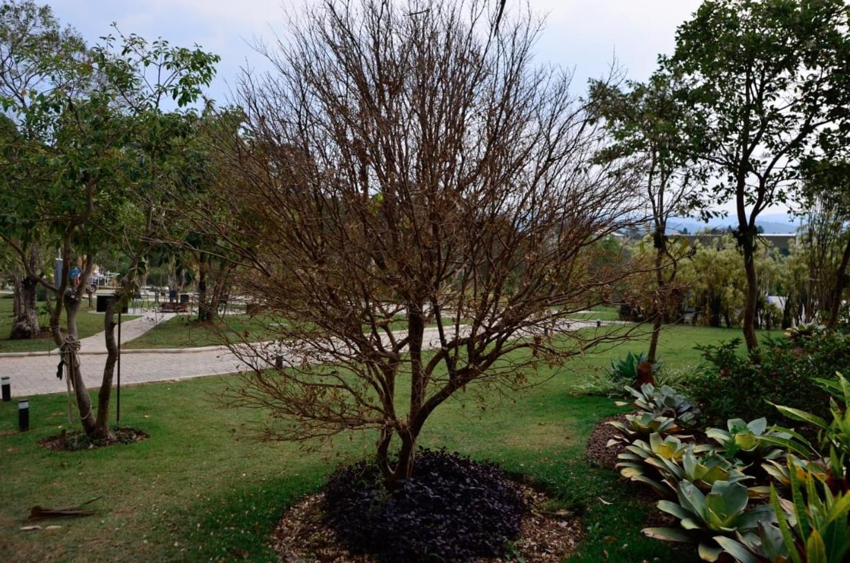 Capao Do Cerrado Pousada E Spa Itabirito Eksteriør bilde